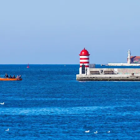 Apartment Poseidon Bibinje
